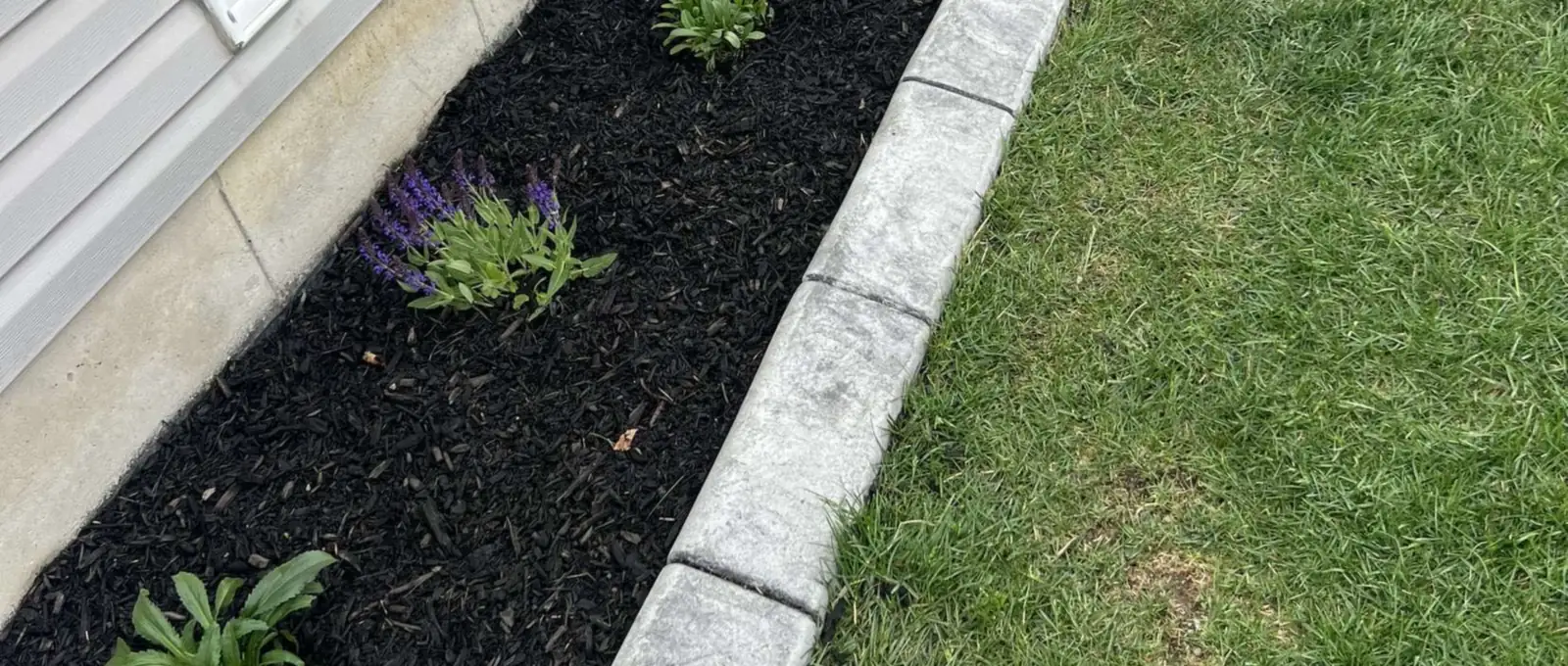 New garden bed with dark mulch and concrete edging along the side of a house, Sarnia area