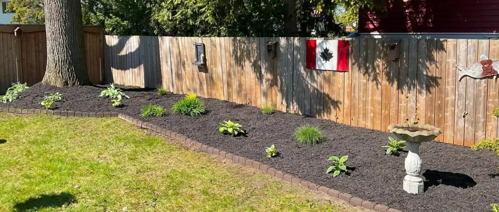 Long backyard garden bed with new plantings along a wood fence, Sarnia area