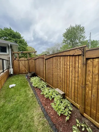 Hostas and shrubs in a tidy bed along a cedar fence