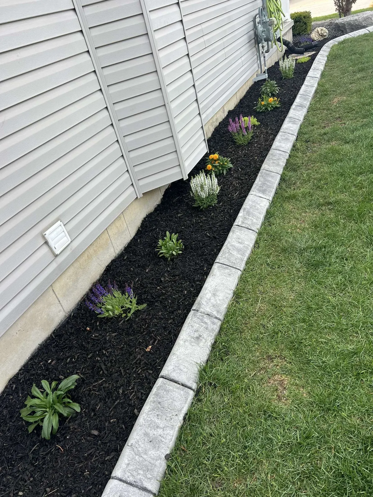 Garden bed with concrete border edging along a house