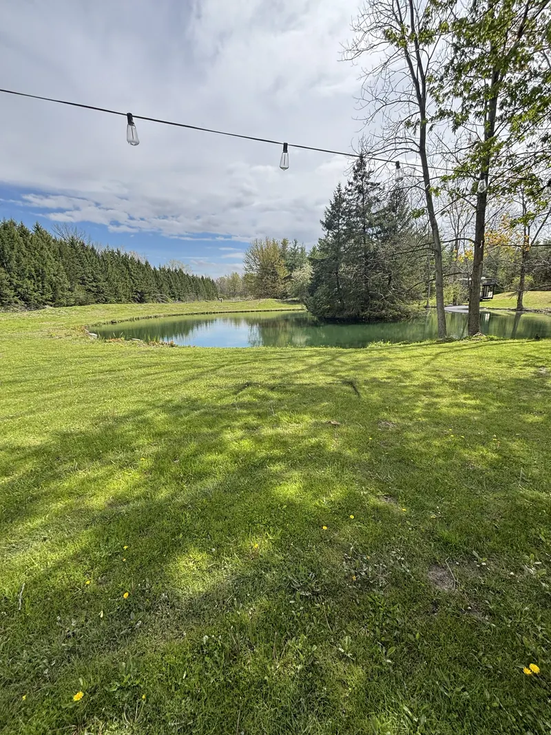 Wedding venue before transformation — empty lawn with string lights and pond in Sarnia, Ontario