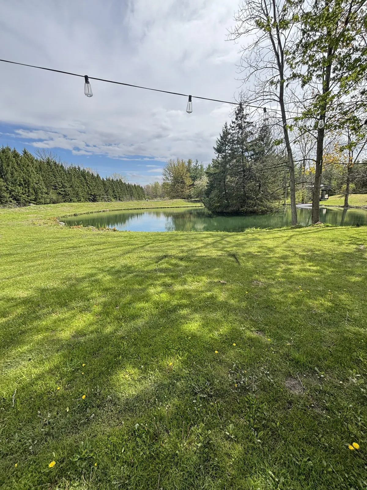 Open lawn beside a pond before the landscape installation