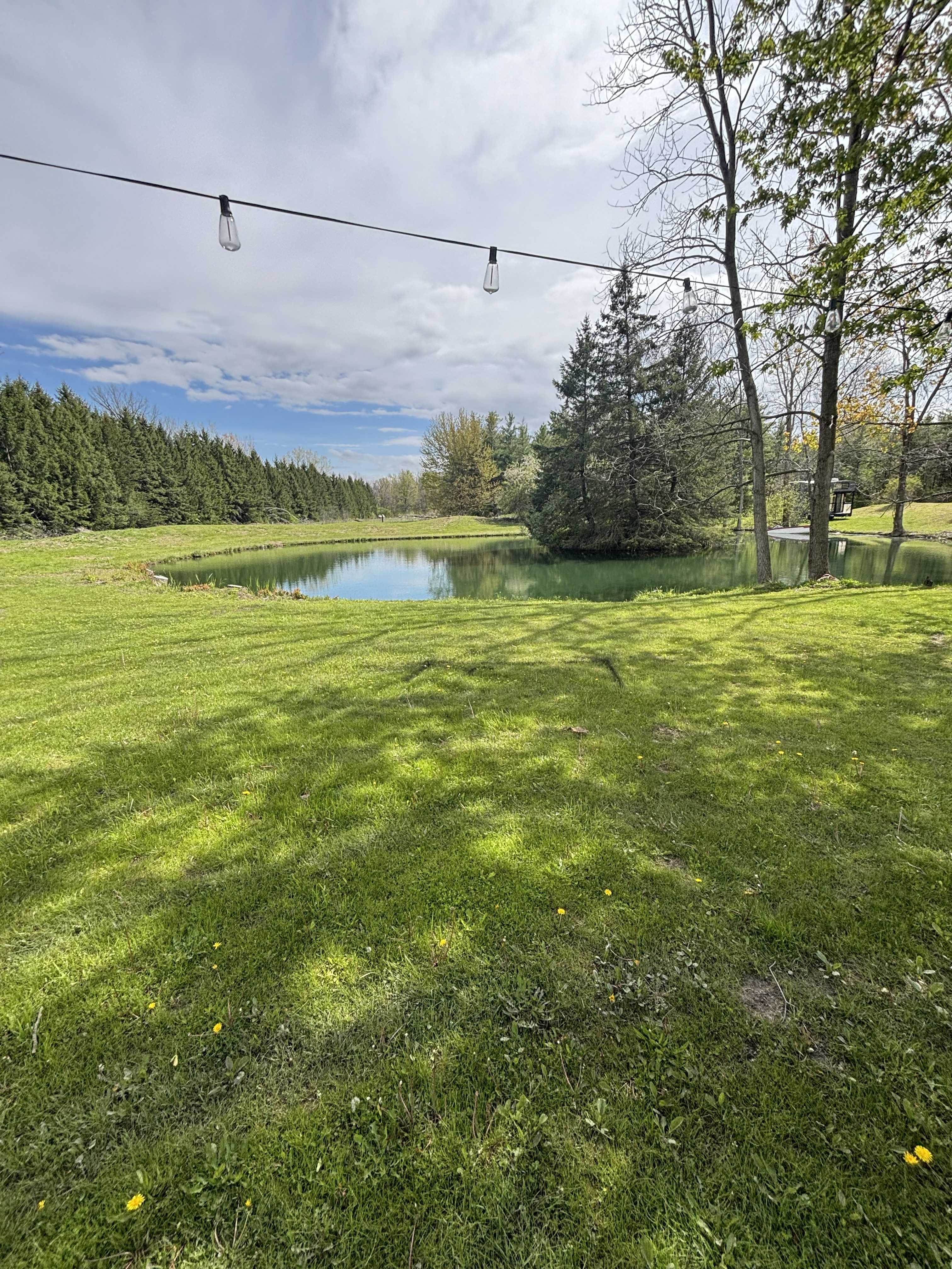 Wedding venue before transformation — empty lawn with string lights and pond in Sarnia, Ontario